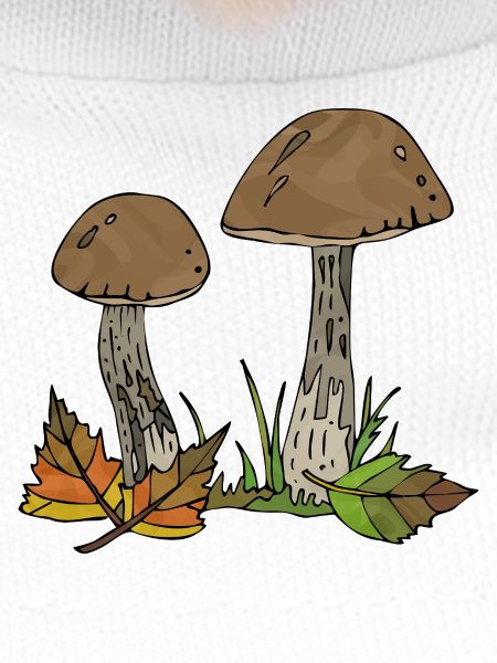 Pilze