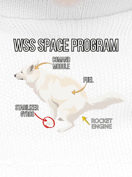 Space Dog Programm