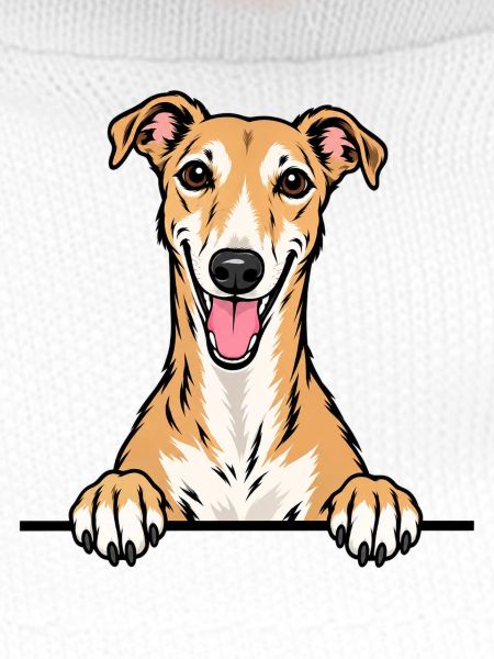 Greyhound