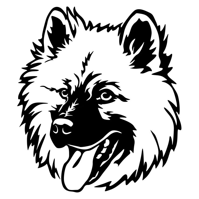 Eurasier head