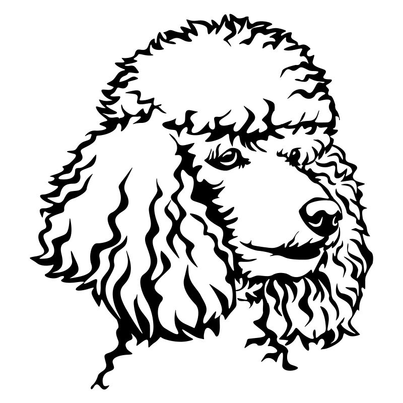 Poodle head