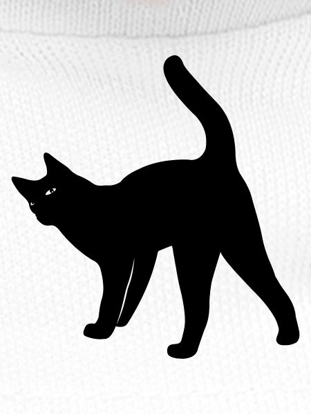 Chat chat
