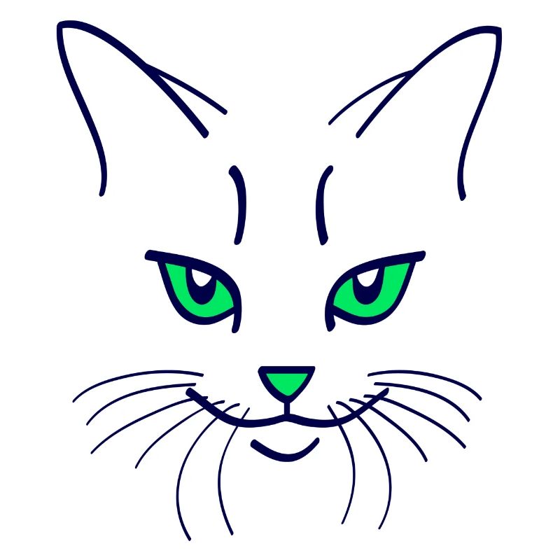 42 Couleur chat