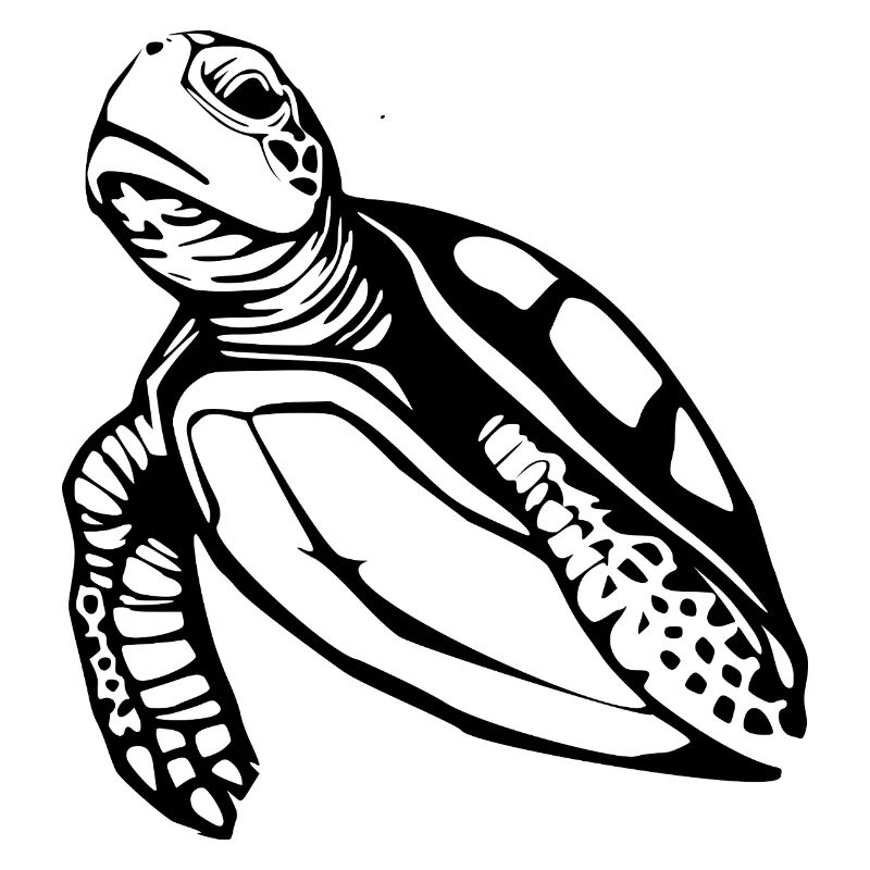 Turtle Turtles