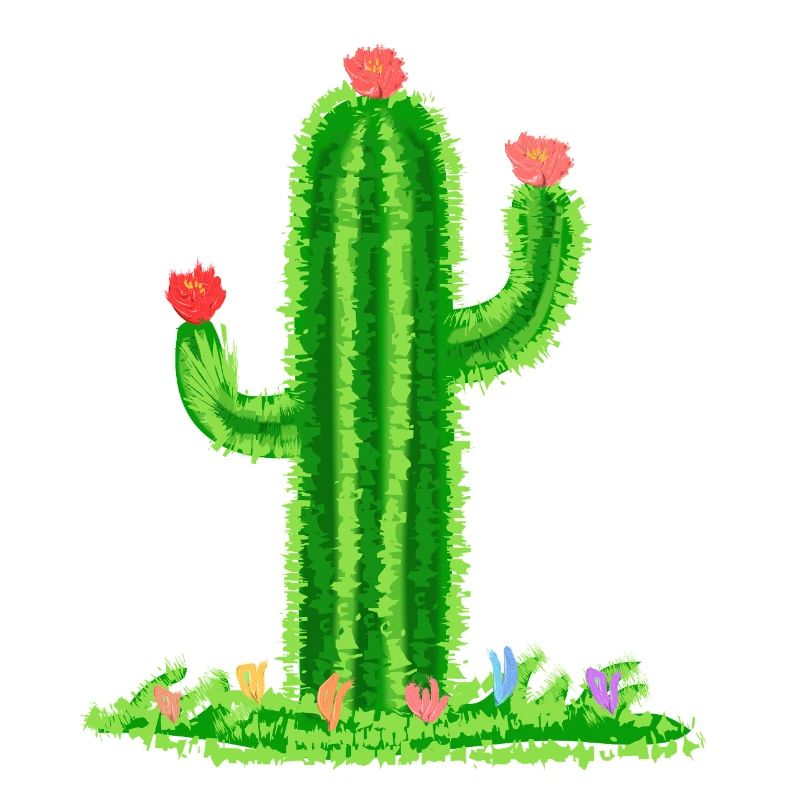 Cactus avec fleurs