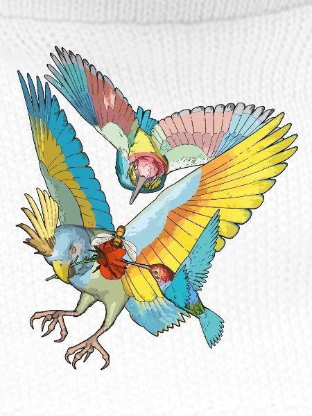 Bunte Vögel