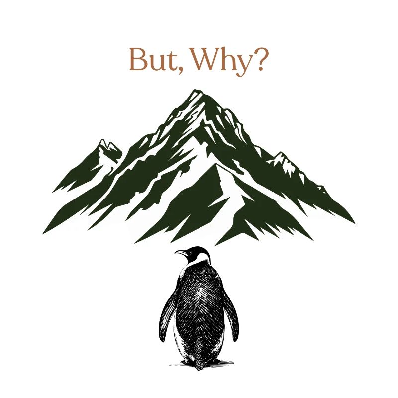 But, Why? Mountain landscape