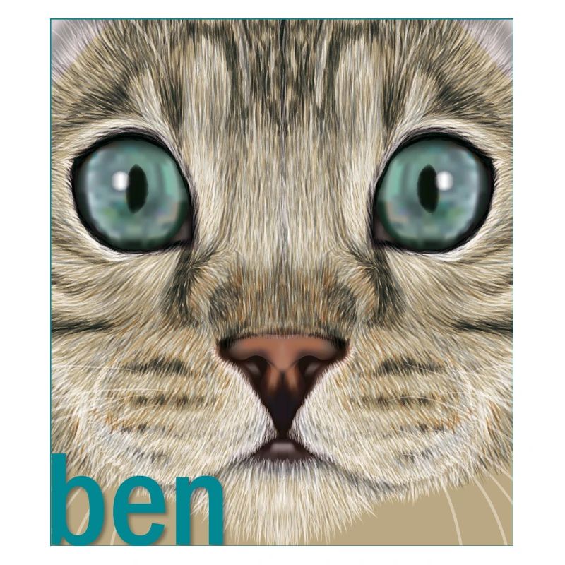 Bengalkatze 