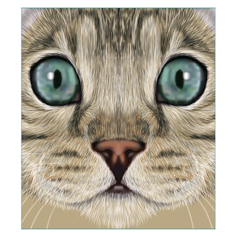 Chat léopard
