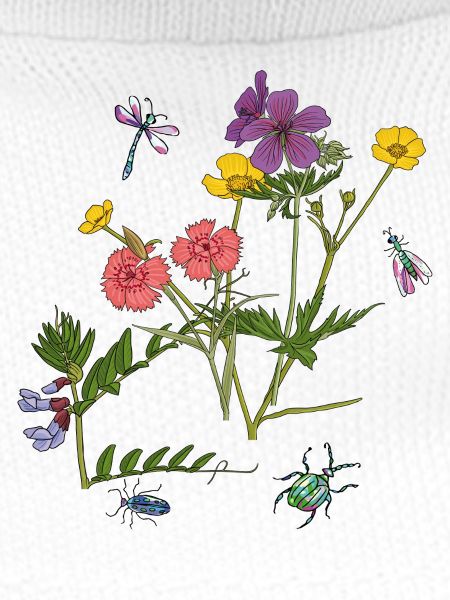 Blumenwiese