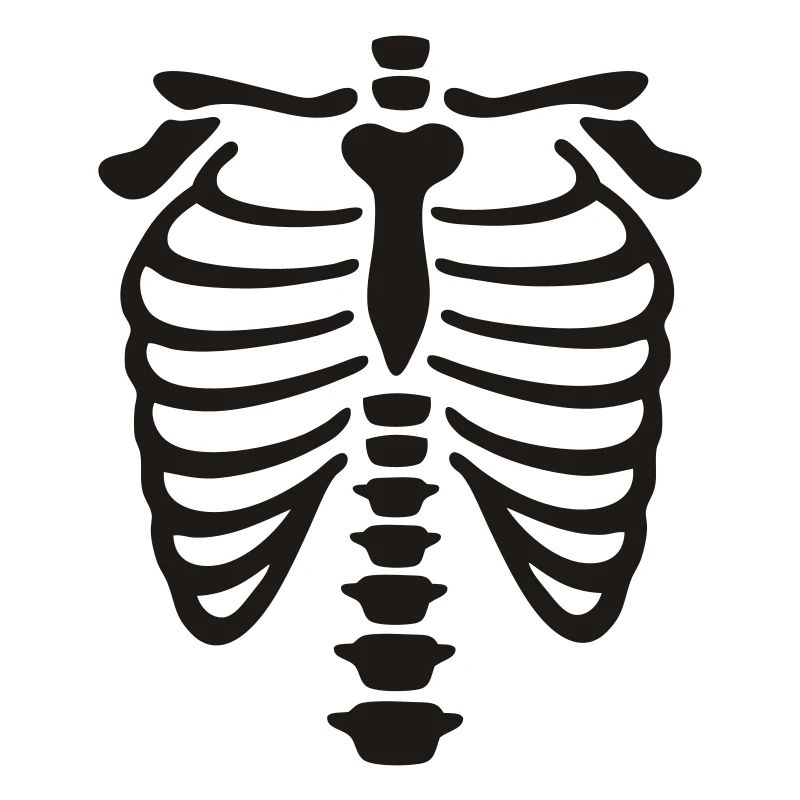 xray_vector