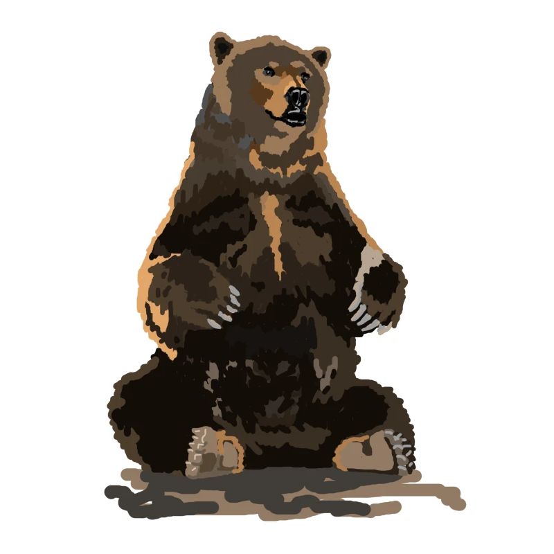 Bear