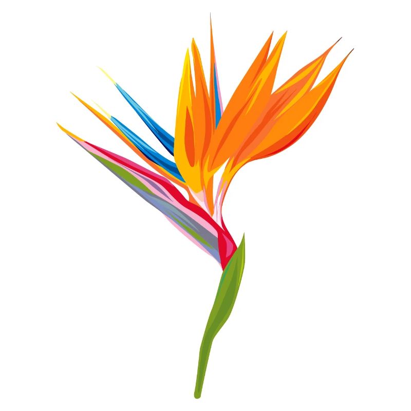 Oiseau de paradis Jeu de couleurs