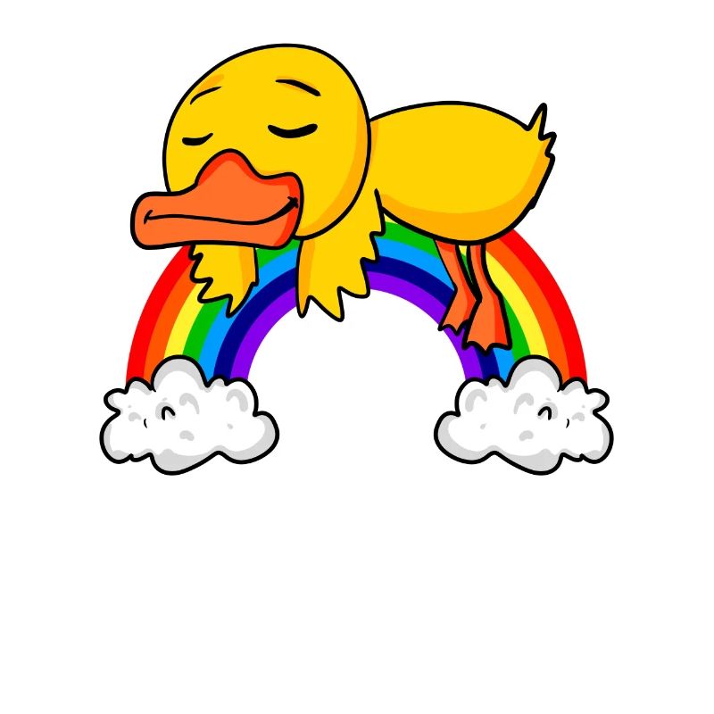 Rainbow Duck