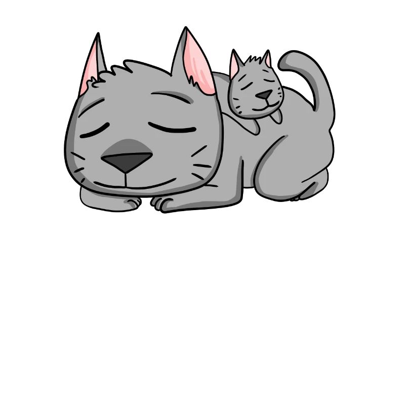 Chat avec bébé chat