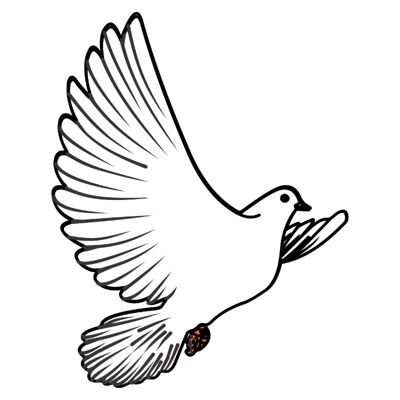 Weiße Taubenbrieftaube Ziertaube oder Friedenstaube