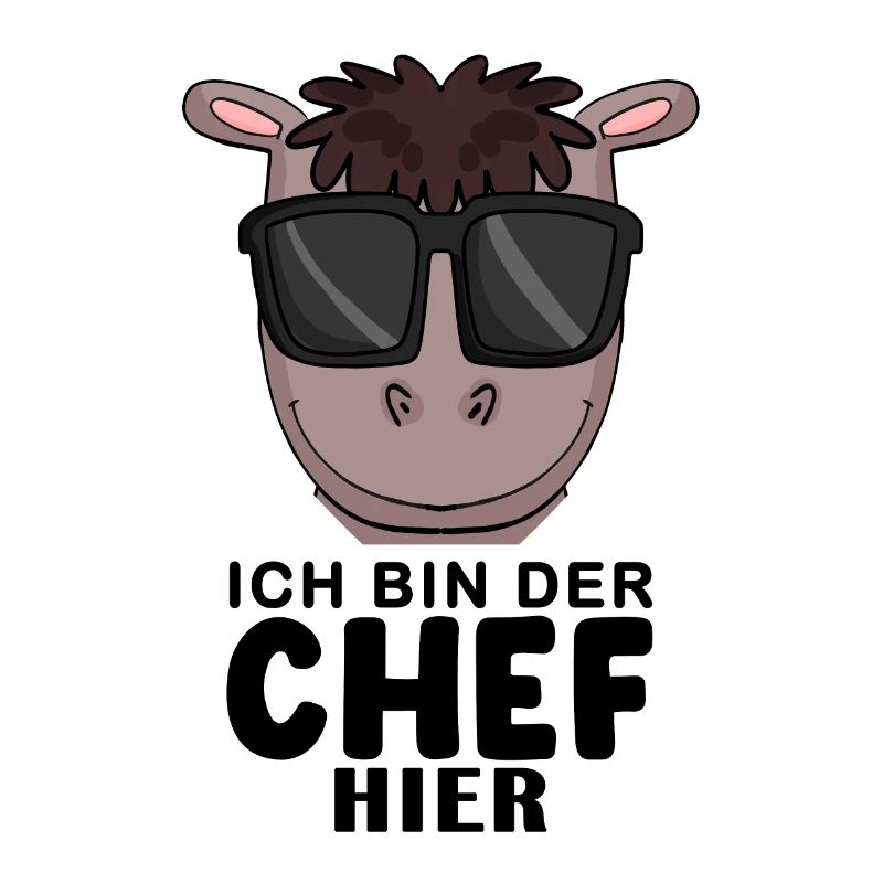 Cool Pferd Chef Spruch