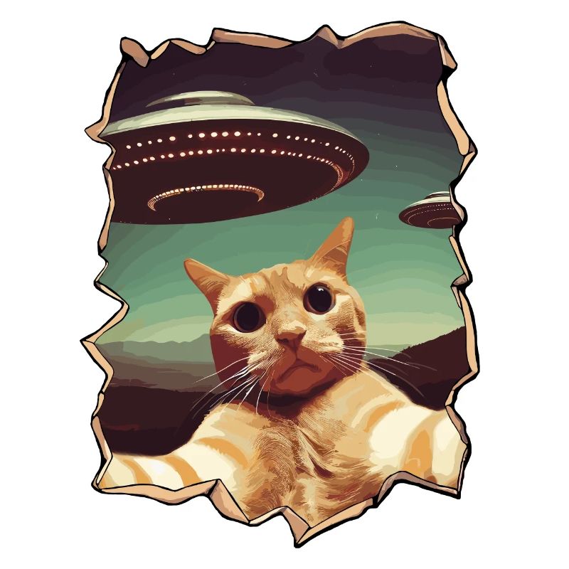 Funny Cut Out Cat Selfie UFO 3D Effect