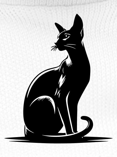 Oriental Shorthair Cat