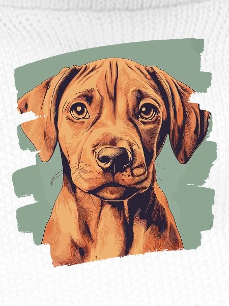 Rhodesian Ridgeback