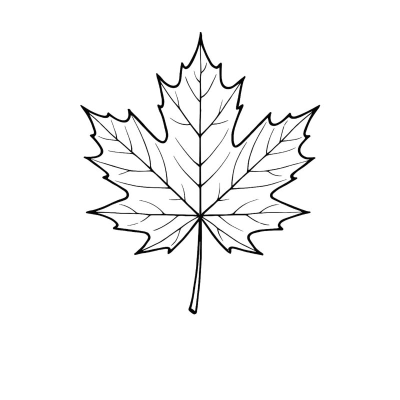 Maple Leaf Line Design