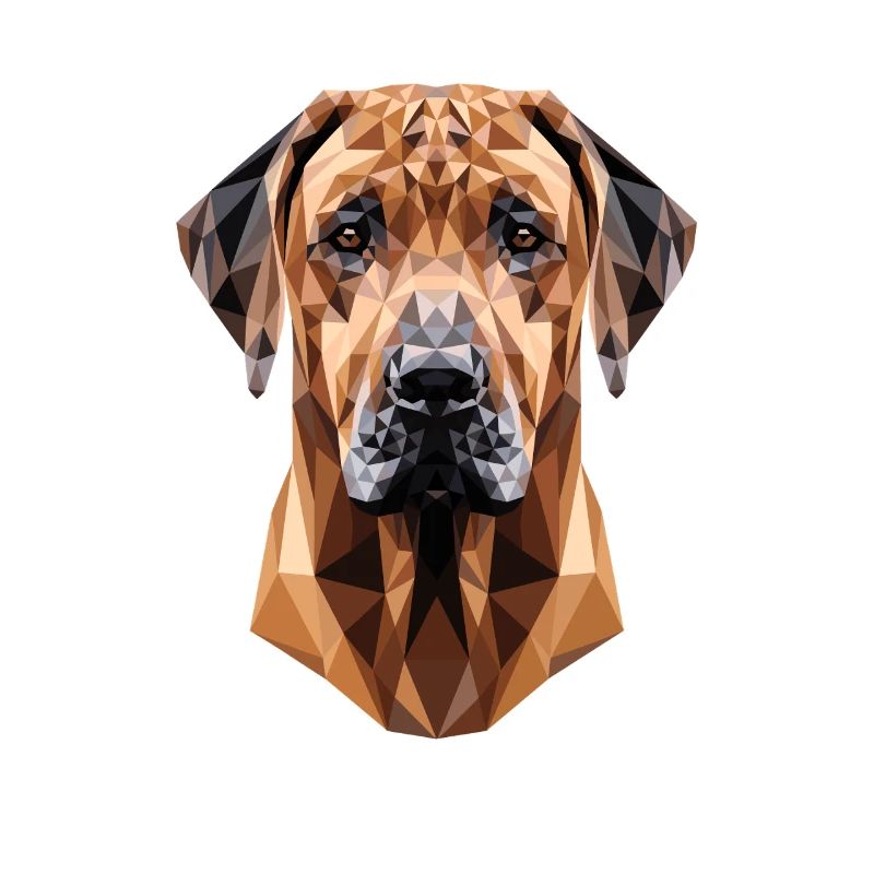 Rhodesian Ridgeback Jagdhund Hunde Stolz Ridgeback