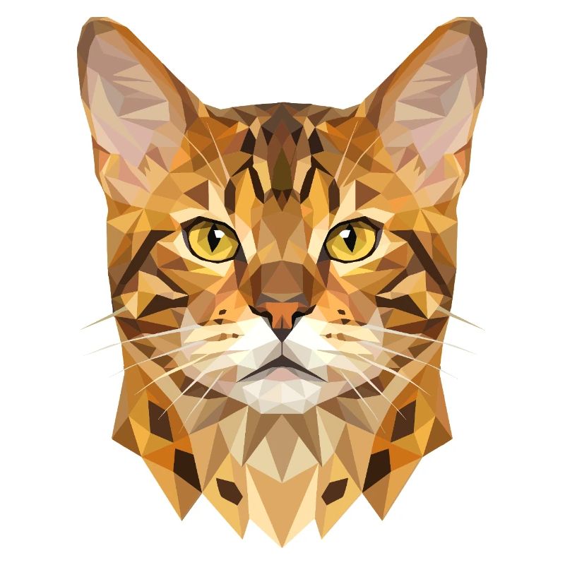 Chat léopard du Bengale, chat léopard, léopardette, chats du Bengale,