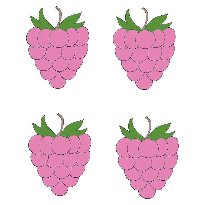 Raspberry Double Cluster Pattern