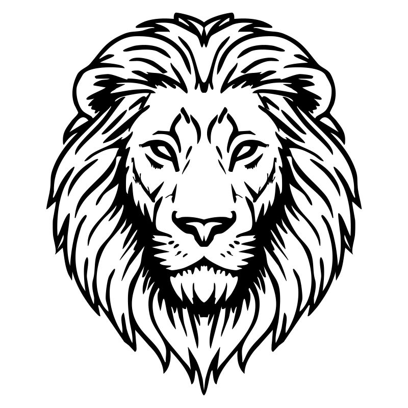 illustration de lion