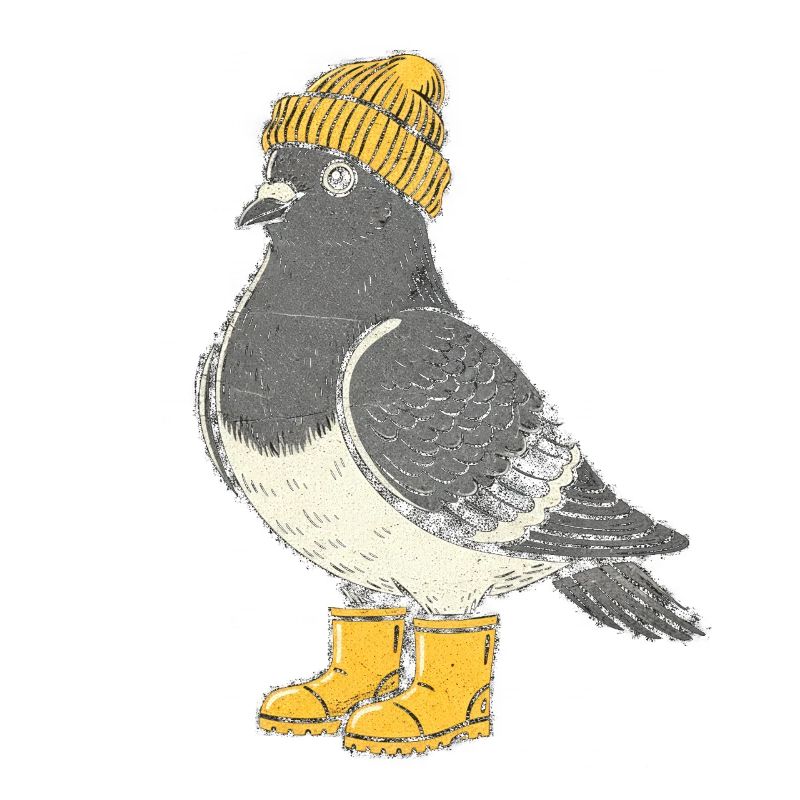 Penguin with hat and boots