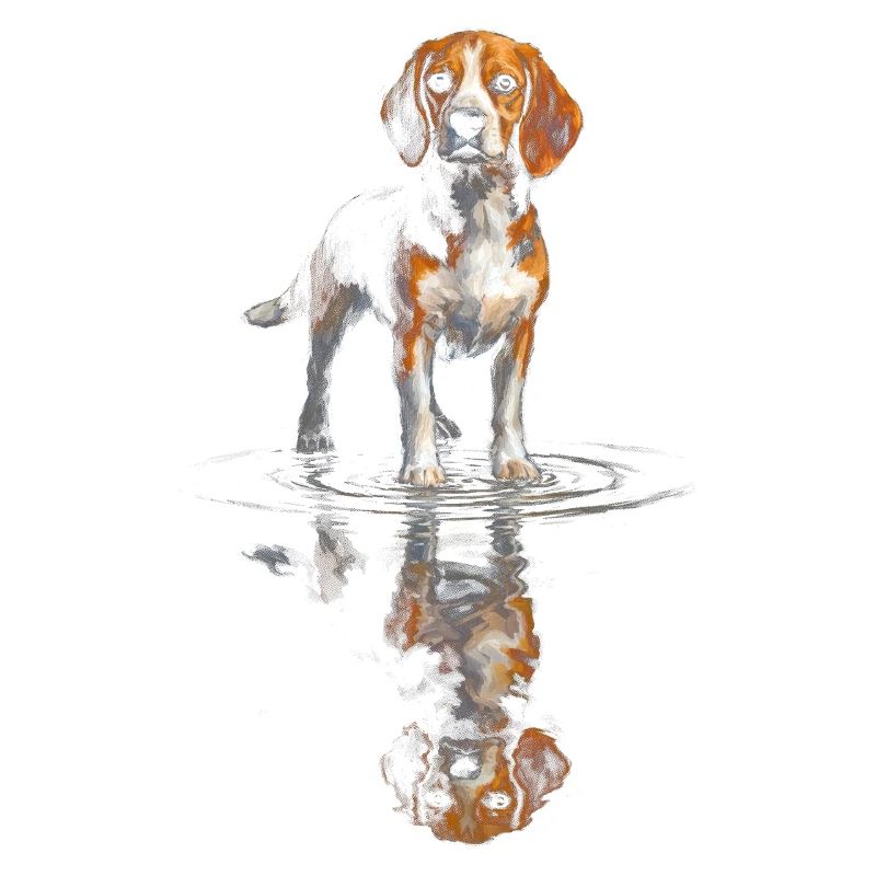 Beagle at the water level