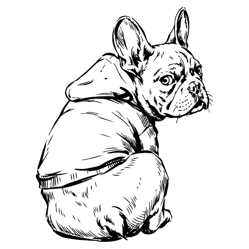 Bouledogue français Pull câlin