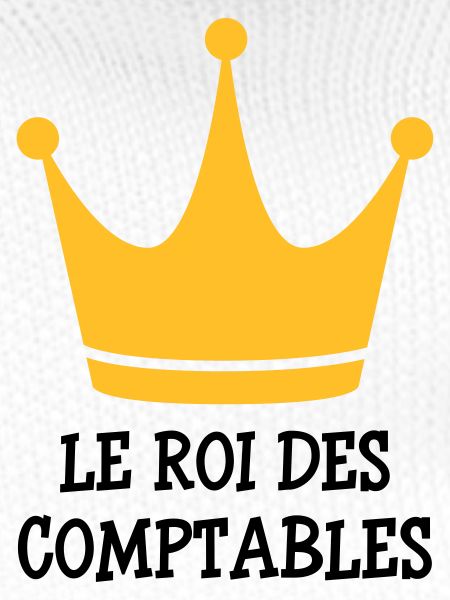 Accountant / Accounting / Comptable / Comptabilité