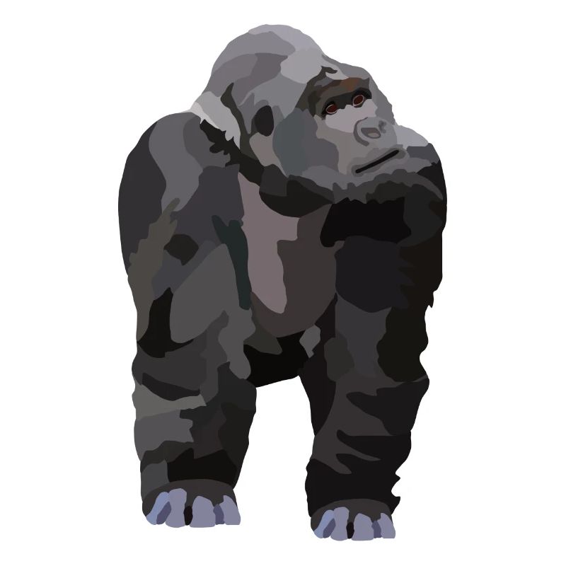 Gio, der Gorilla