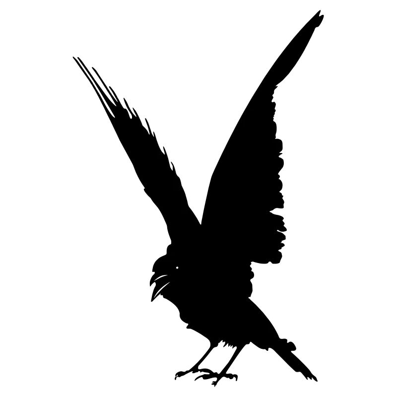 Schwarze Vogelkrähe oder Rabenschattenfigur