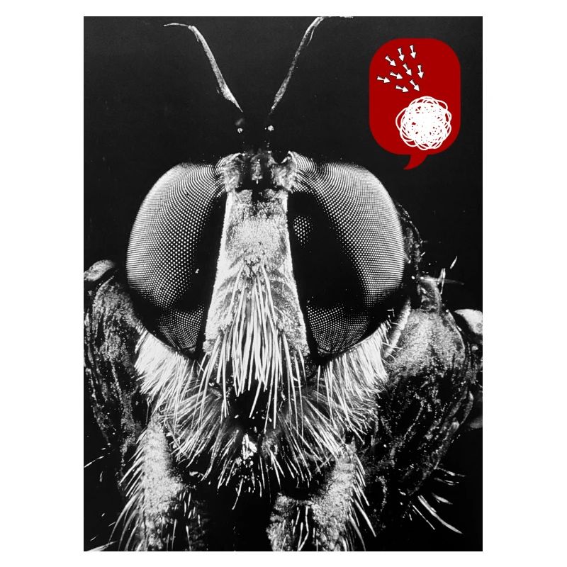 Bug off