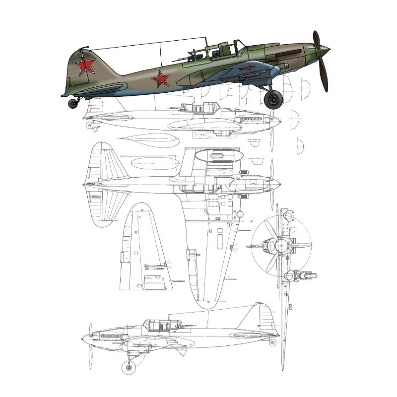 IL-2
