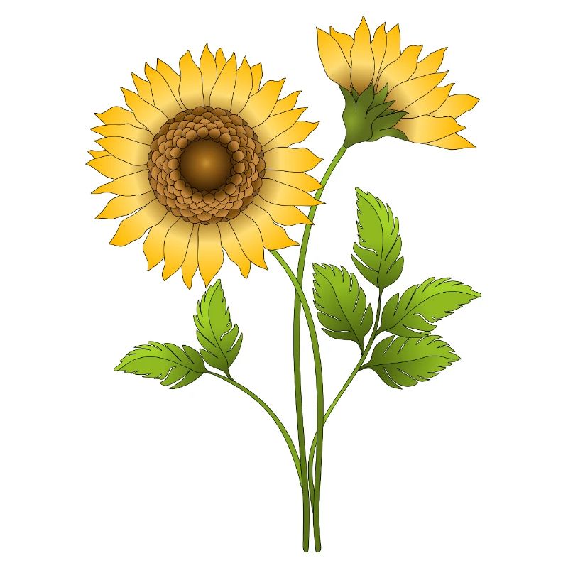 Fleur