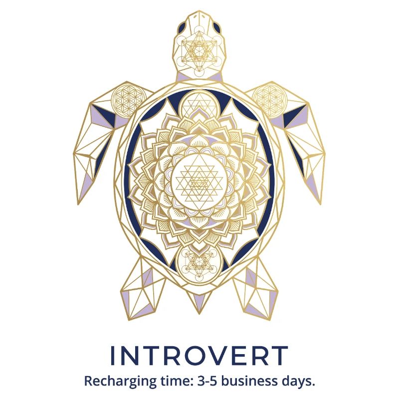 Geometric Turtle Mandala Introvert