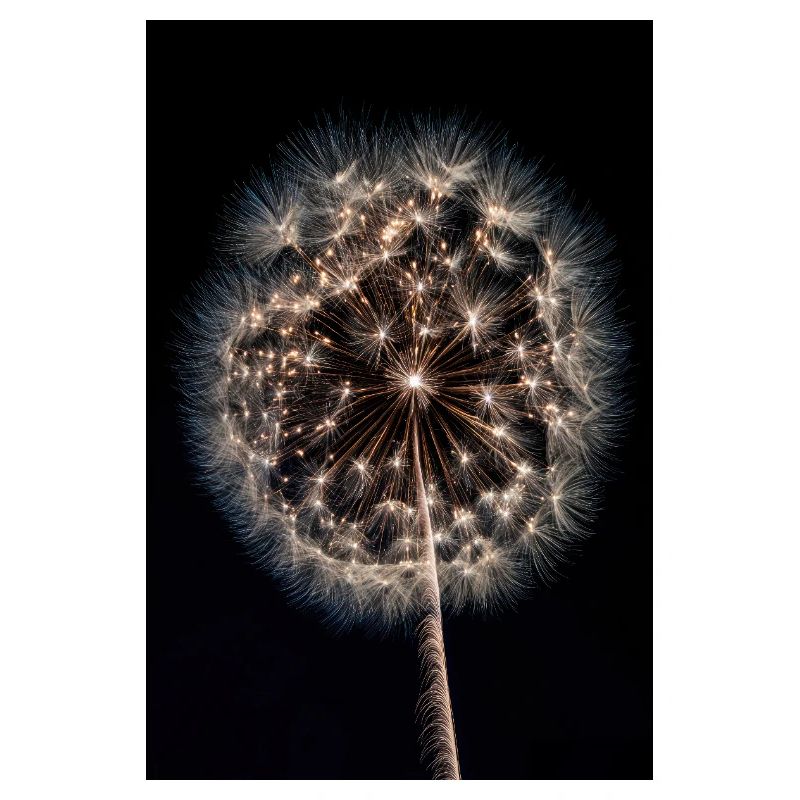 Luminous Dandelion Firework