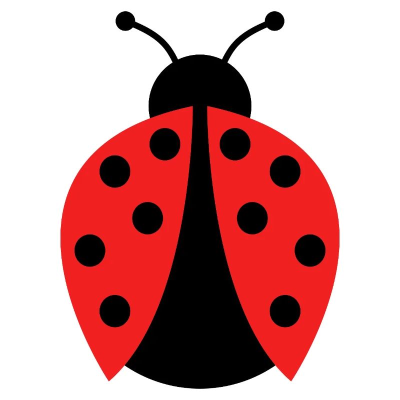 ladybug