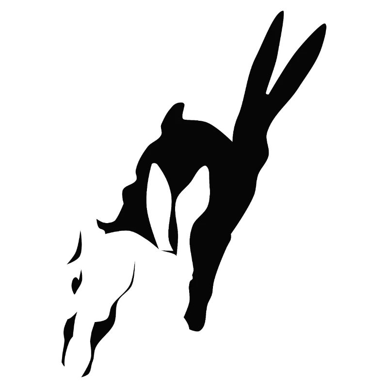 Bunny runs shadow bunny Easter bunny rabbit hop