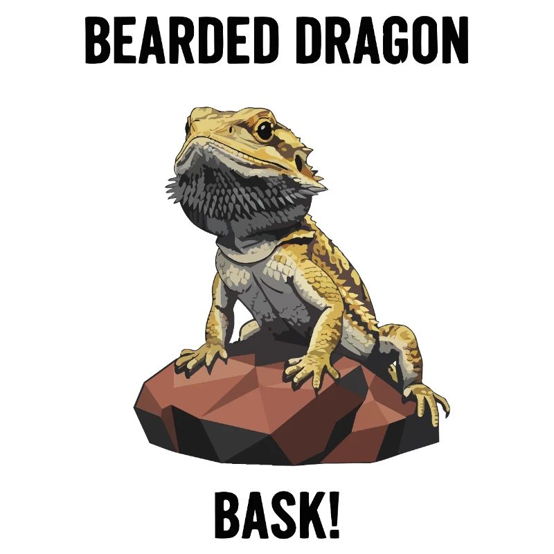 Agame Bearded Lizard Bask Bearded Dragon