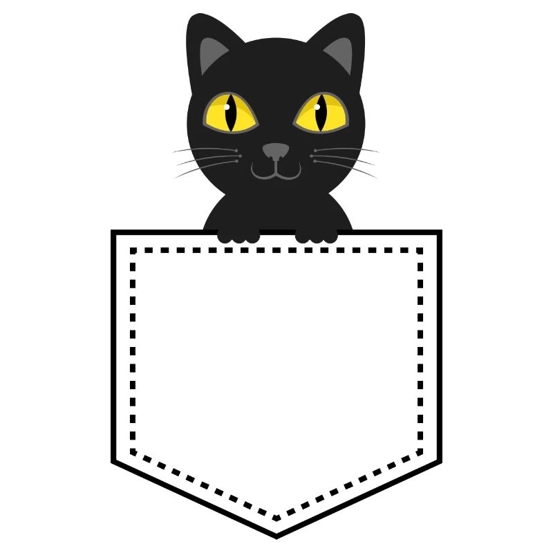 Taschentier schwarze Katze