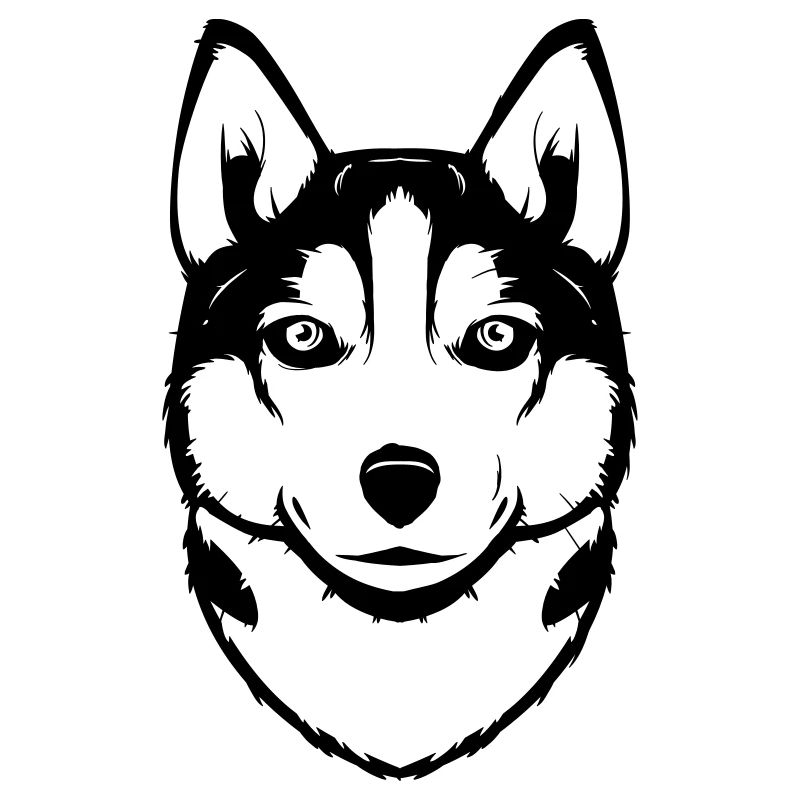 Siberian Husky
