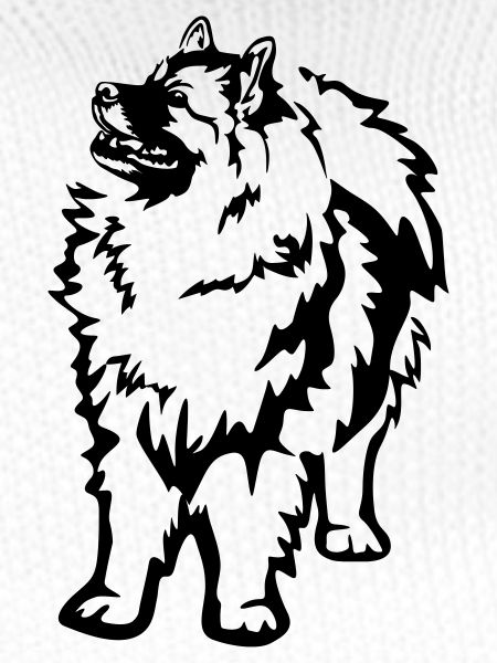 Keeshond