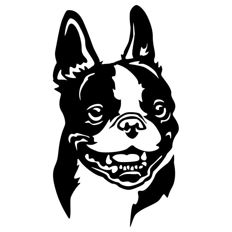 Boston Terrier Head