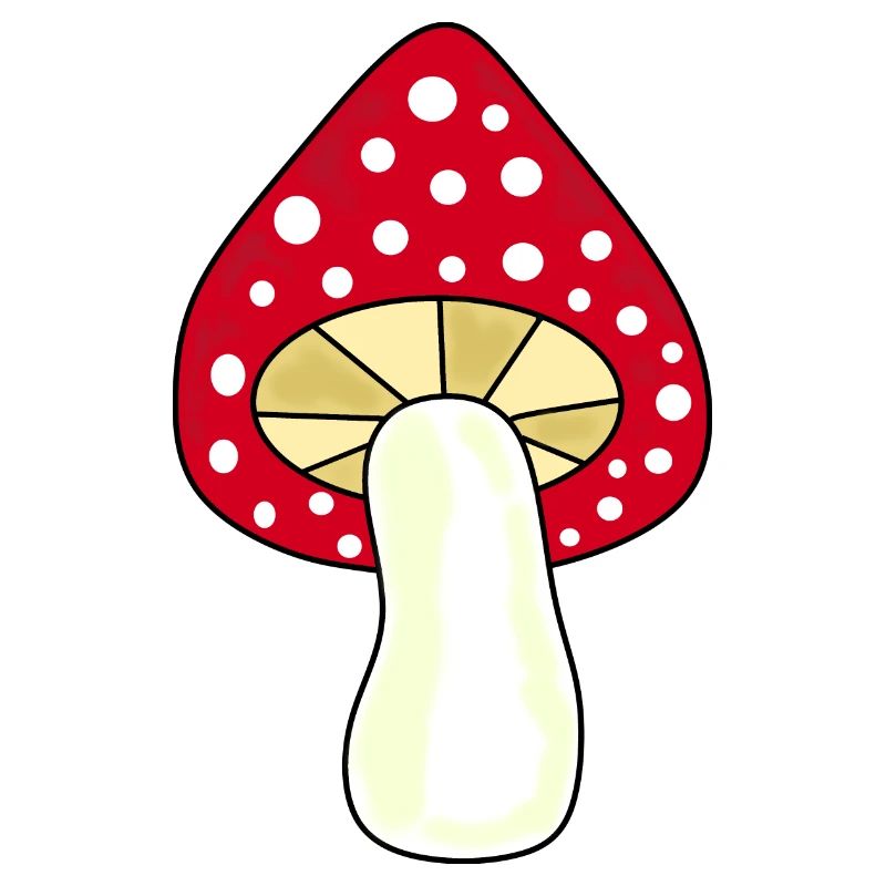 Toadstool, mushroom in the woods gift
