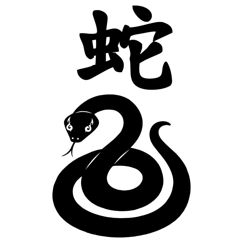 Serpent à caractère chinois avec image de serpent