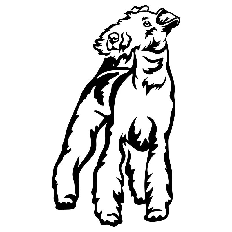 Fox terrier